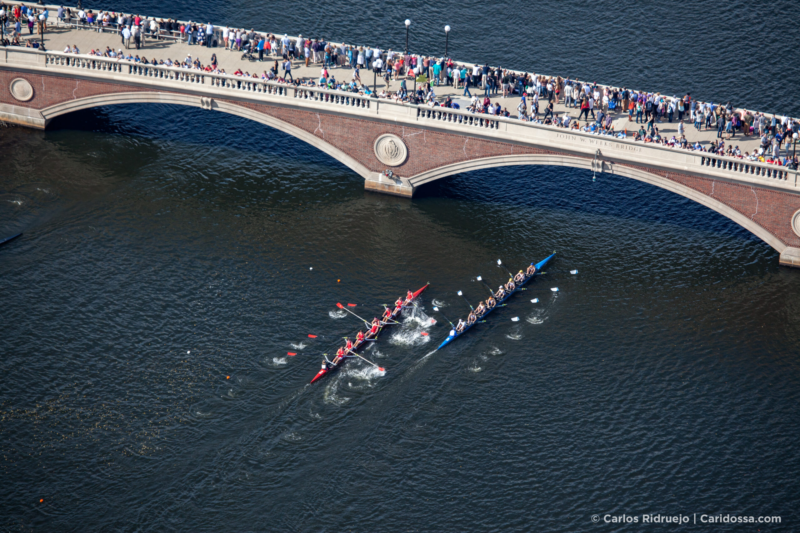 Where to Watch Head Of The Charles® Regatta