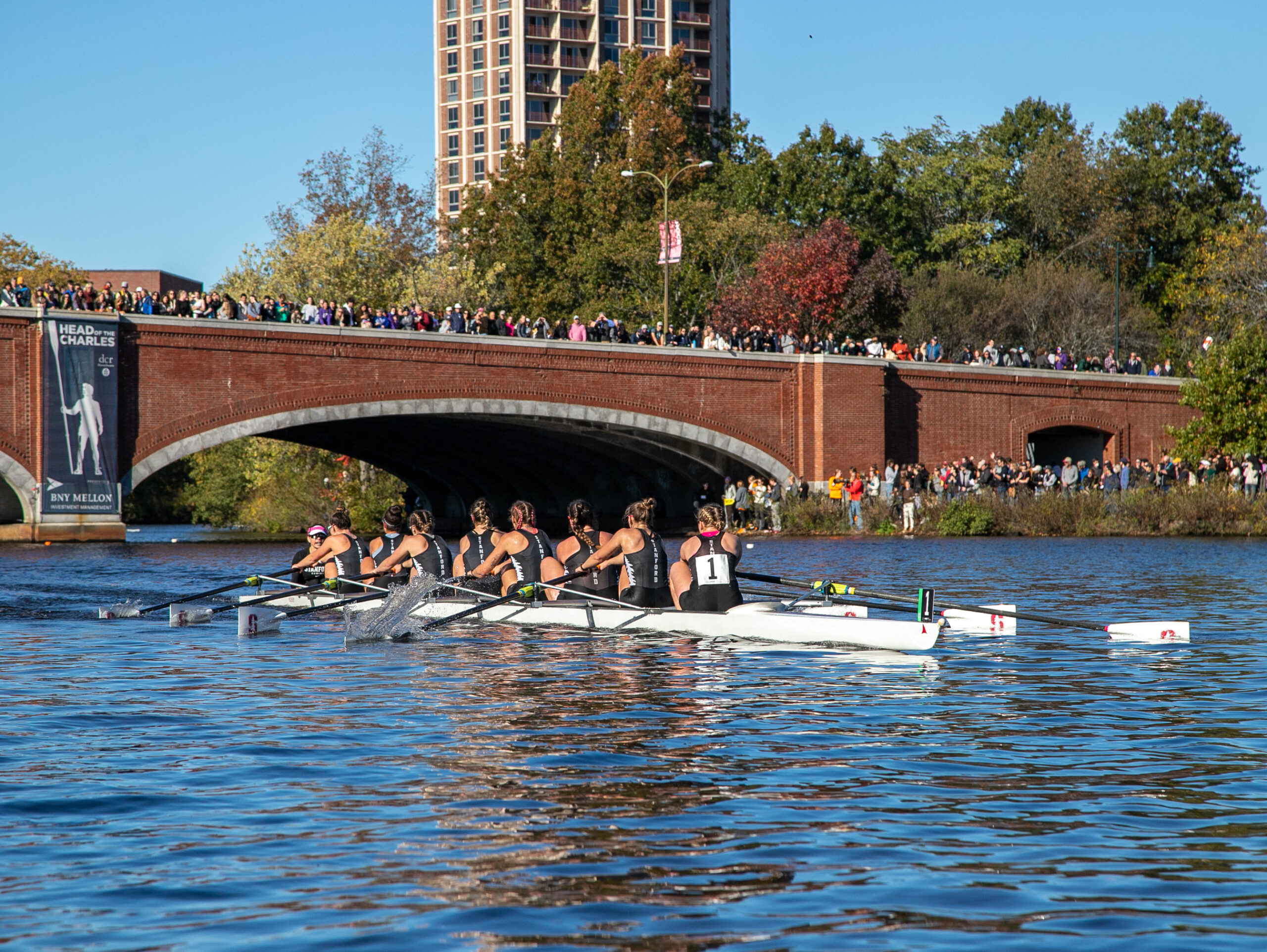 Women's Champ Eights: Collegians Best Olympians